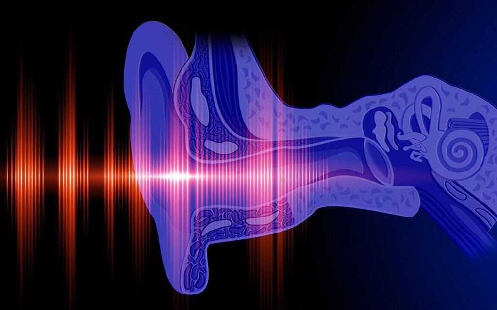 World’s first middle ear transplant using 3D-printed&nbsp;bones
